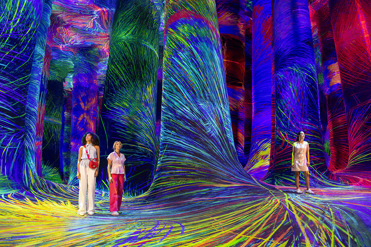 A New Dimension in Experiential Art